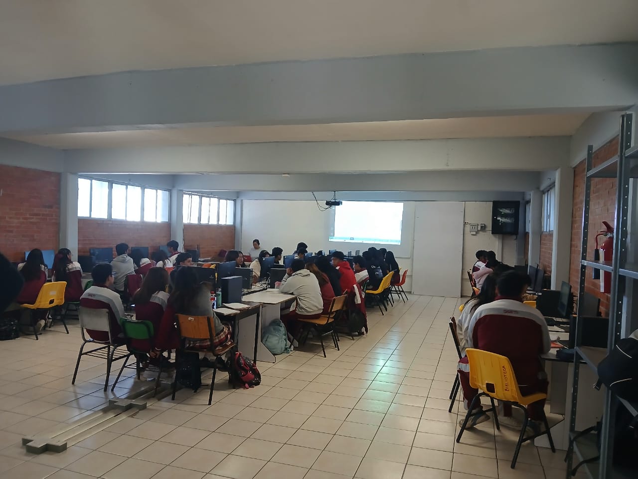 Programador trabajando